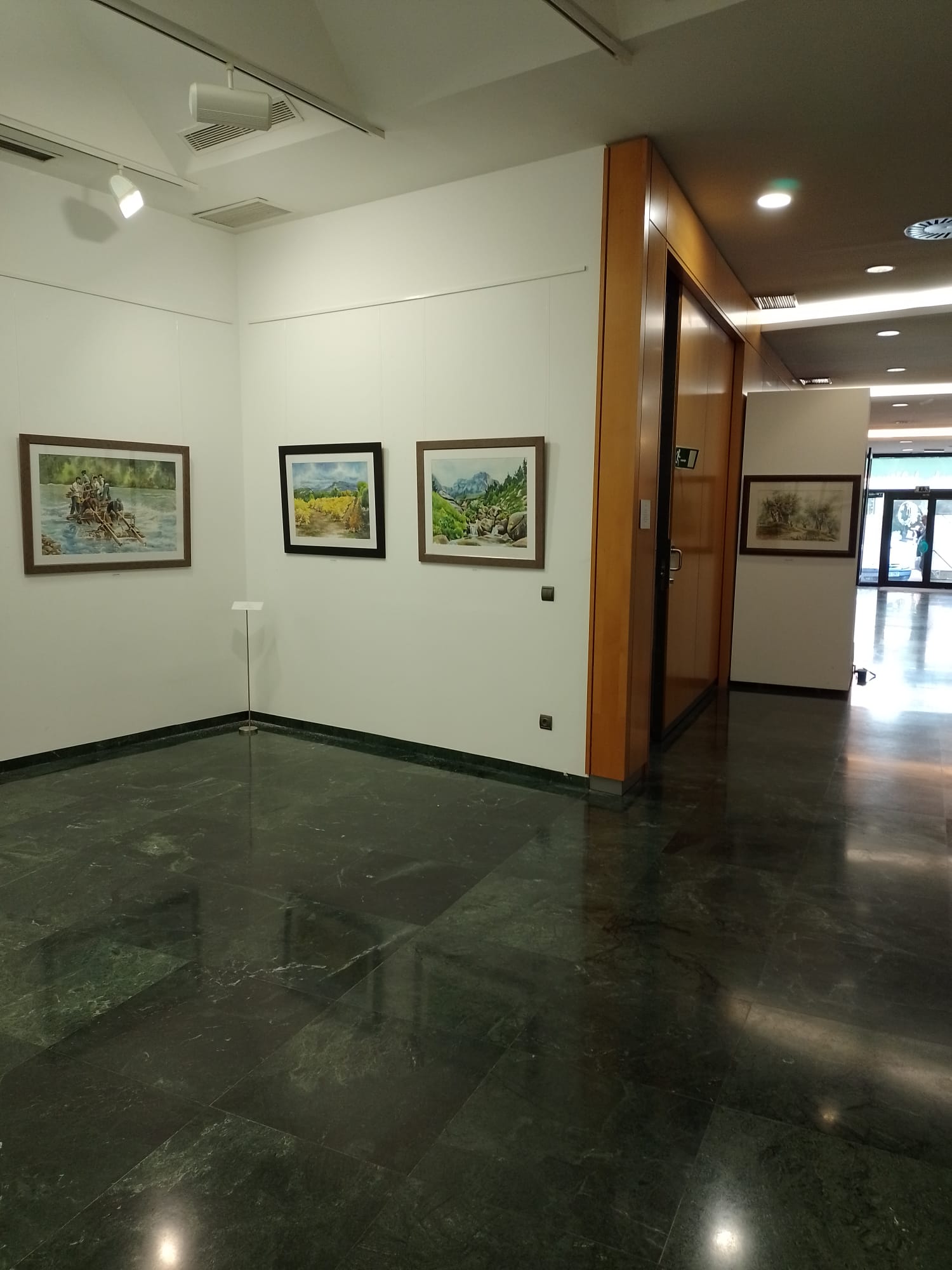Valentín Florentín Acuarelas - Exposición Calatayud