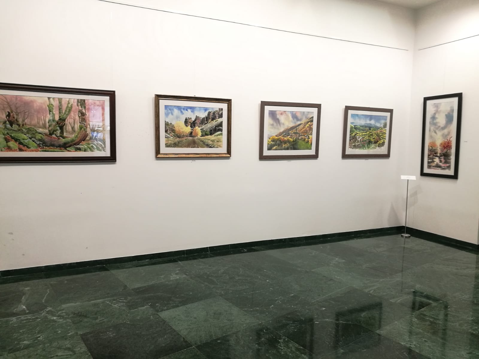 Valentín Florentín Acuarelas - Exposición Calatayud