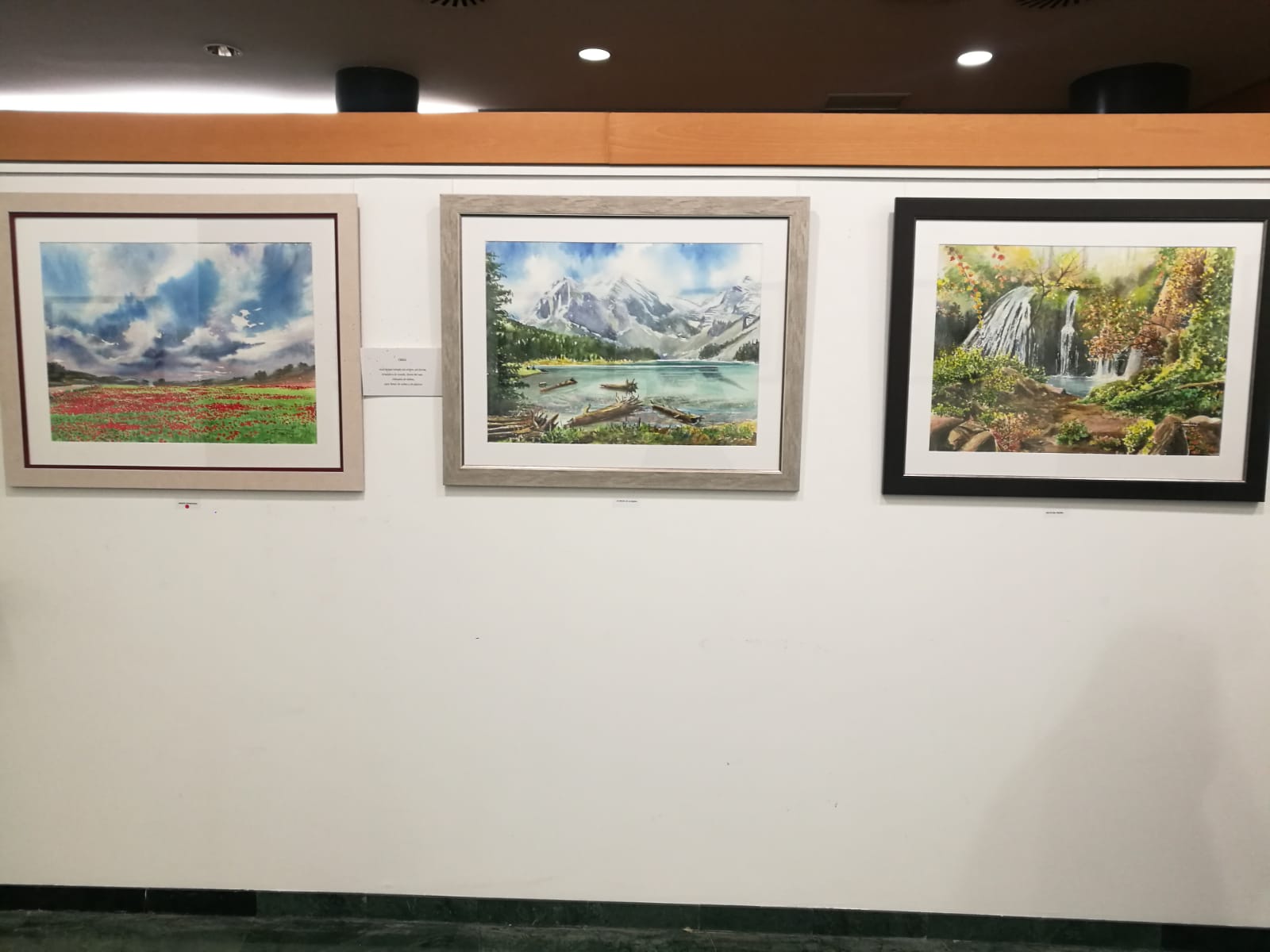 Valentín Florentín Acuarelas - Exposición Calatayud